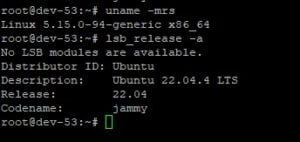 Upgrade Ubuntu 20 to Ubuntu 22 LTS